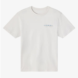 O'Neill Liner Classic Men's S/S T-Shirt - Ash
