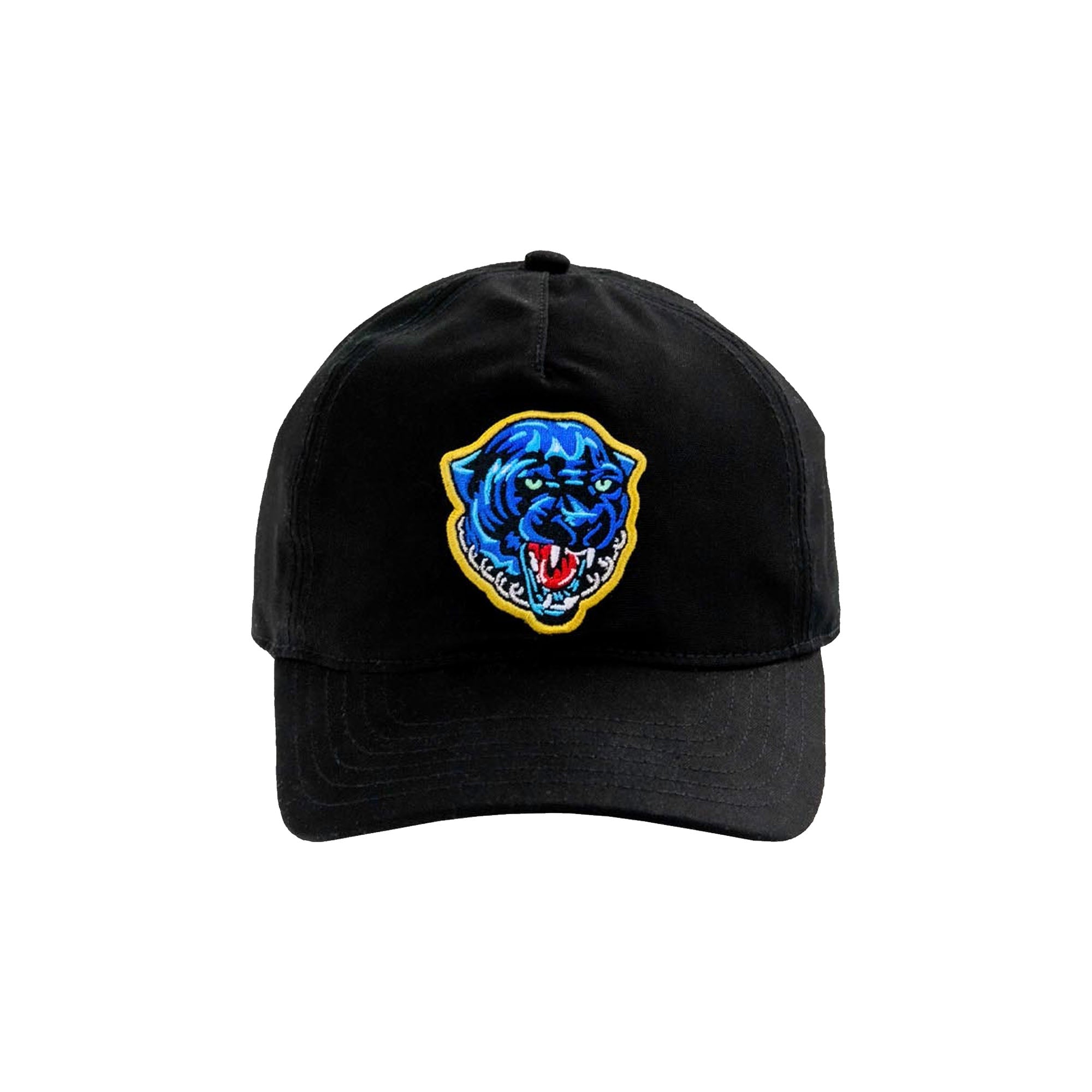 Lost Kitty Baseball Men's Hat