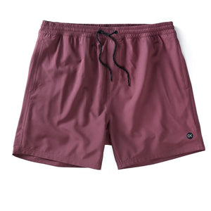 Outerknown Nomadic Volley Men's Hybrid Boardshorts - Dark Fig