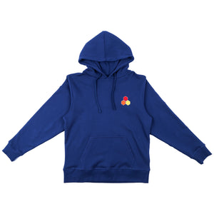 Channel Islands Classic Hex Youth Boy's L/S Hoodie - Navy