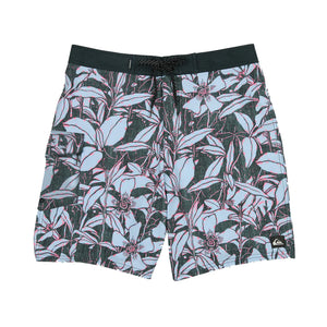 Quiksilver Cantina 19" Men's Boardshorts - Anthracite