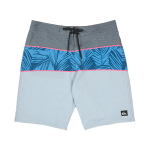 Quiksilver Surfsilk Panel 20" Men's Boardshorts - Iron Gate