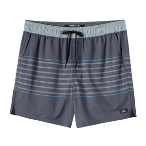 O'Neill Perform Light Lined Elastic Waist 15" Men's Walkshorts - Graphite