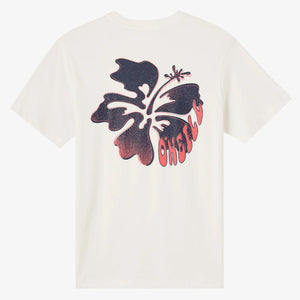 O'Neill Hibis Classic Youth Boy's S/S T-Shirt - Tofu