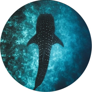 Fahlo The Quest Whale Tracking Bracelet - Deep Blue