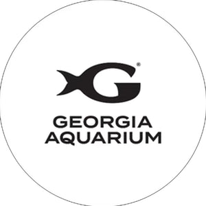 Fahlo The Quest Whale Tracking Bracelet - Deep Blue