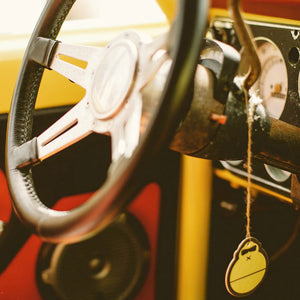 Sun Bum Original Air Freshener