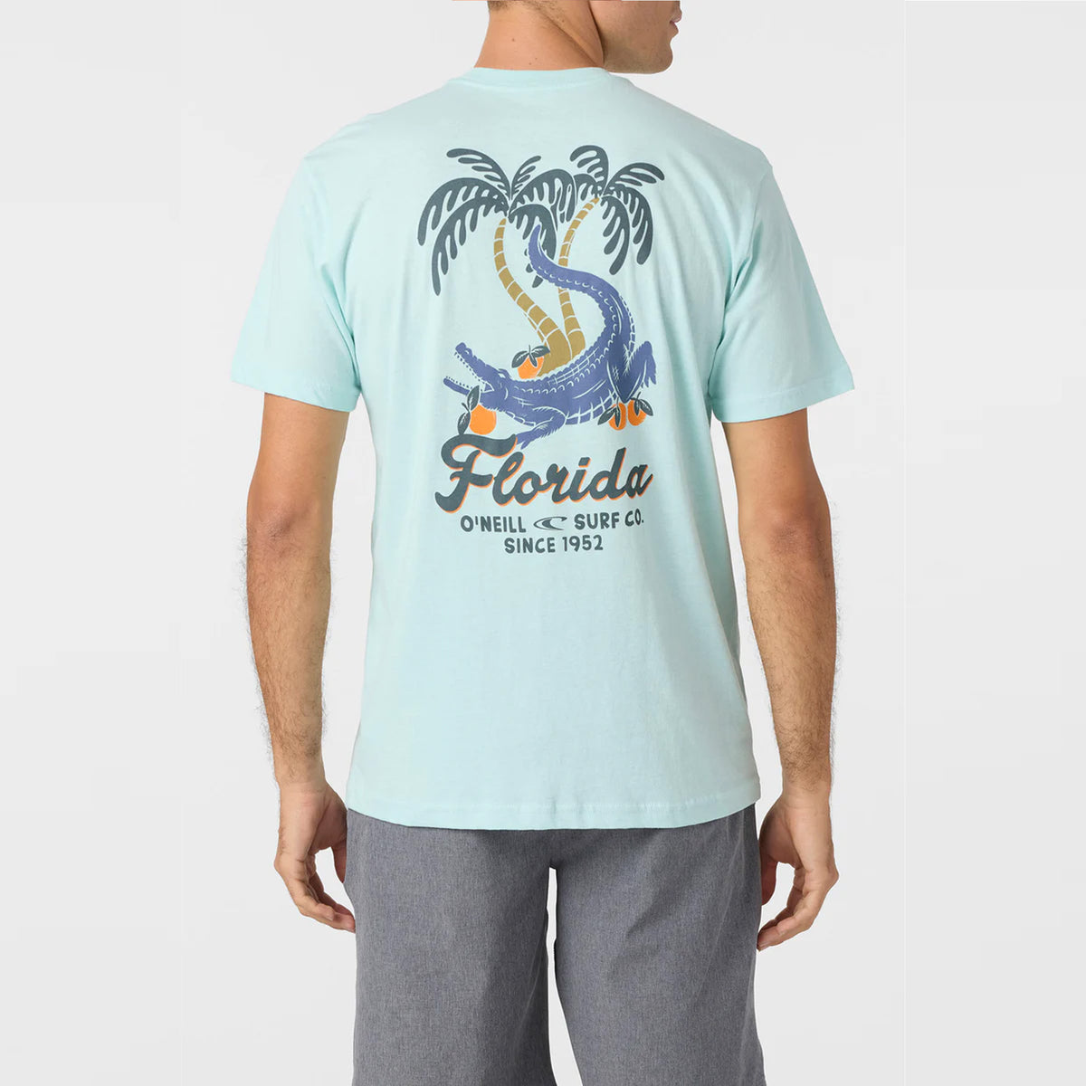 O'Neill Greenie Men's S/S T-Shirt - Island Blue