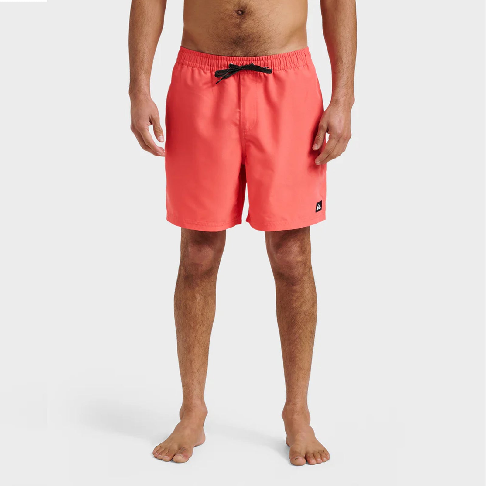 Quiksilver Everyday Solid 15" Men's Boardshorts - Dubarry