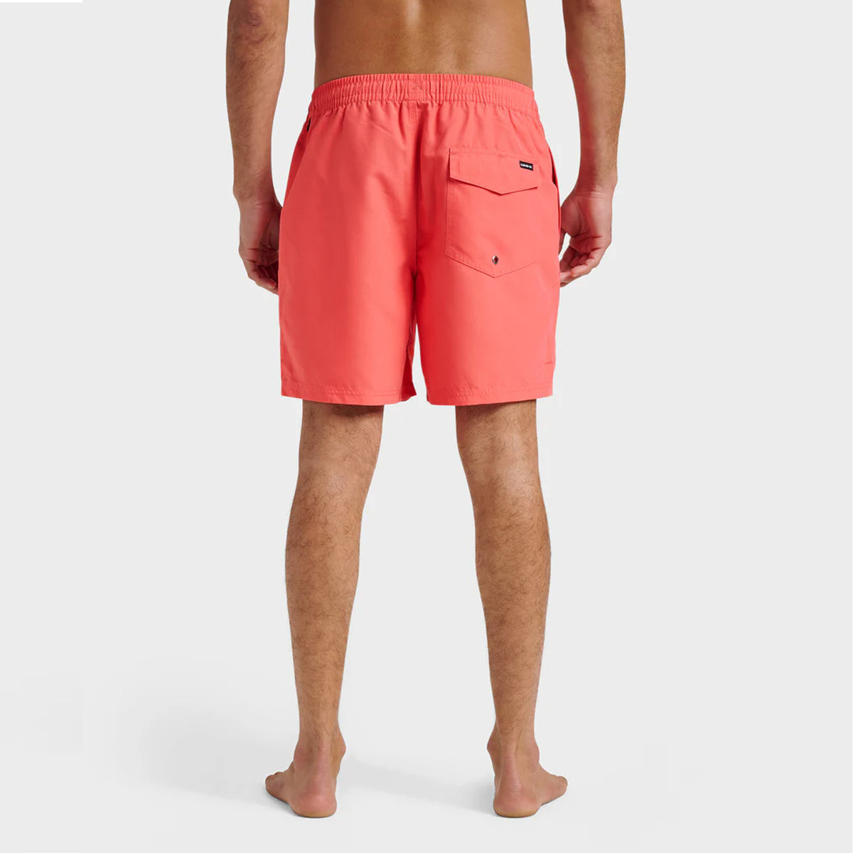 Quiksilver Everyday Solid 15