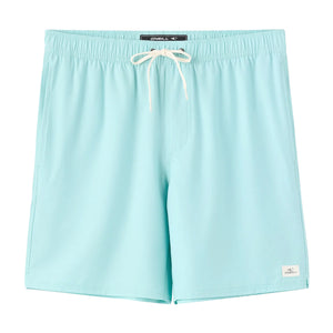 O'Neill Lennox Hermosa Solid Volley 17" Men's Boardshorts - Canal Blue
