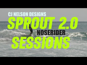 Thunderbolt Sprout 2 9'3 Longboard Surfboard