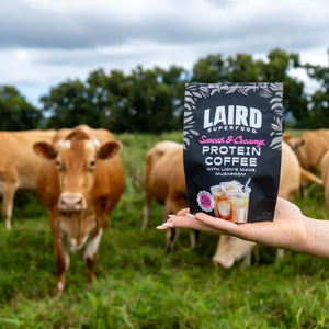 Laird Superfood Sweet & Creamy Protein Coffee - 5.3oz
