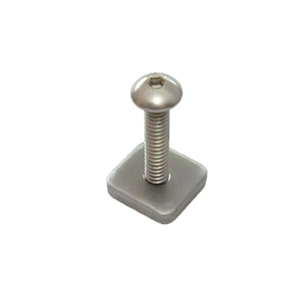 FCS Longboard Screw & Plate
