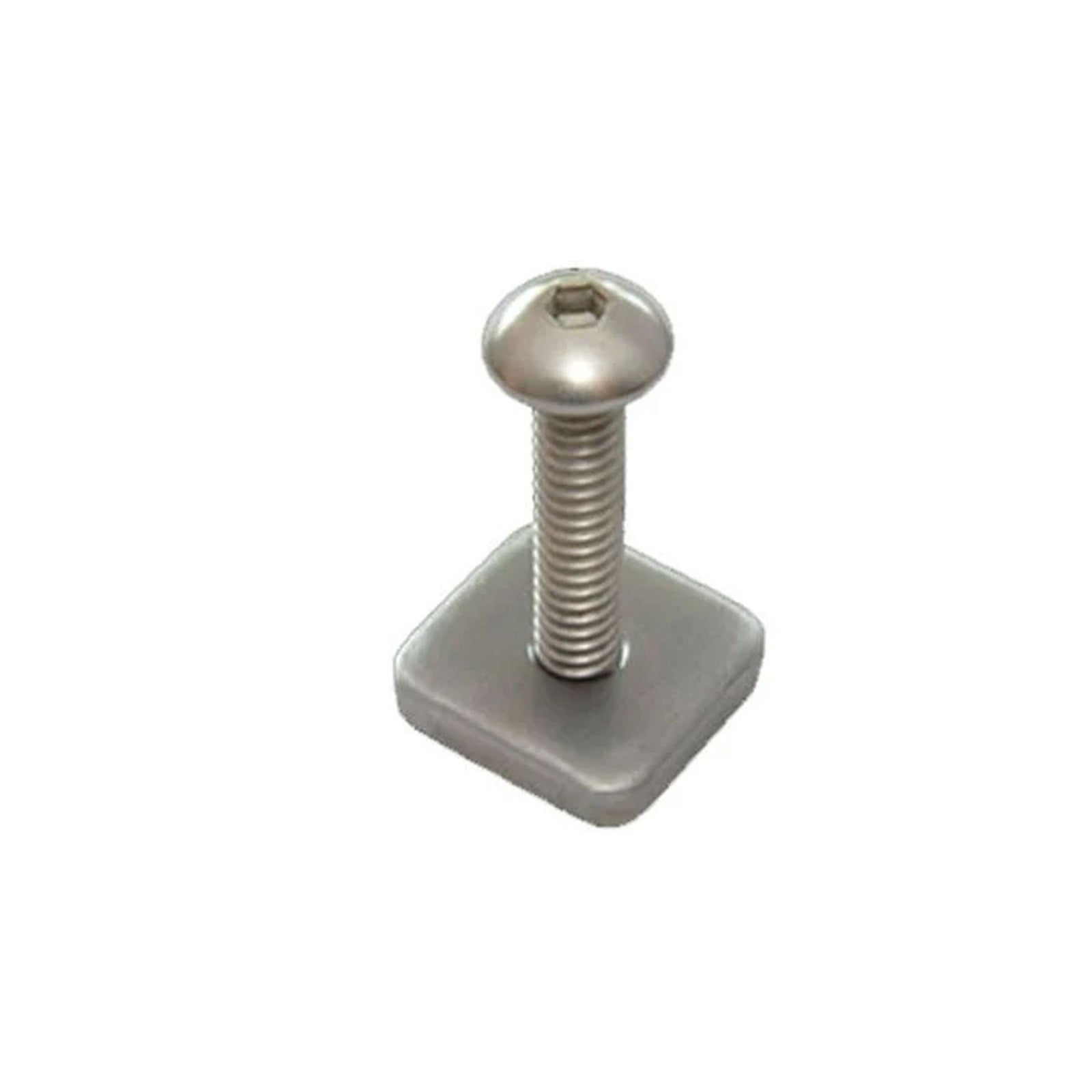 FCS Longboard Screw & Plate