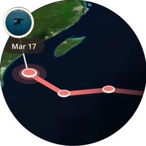 Fahlo The Voyage Shark Tracking Bracelet - Lava Stone