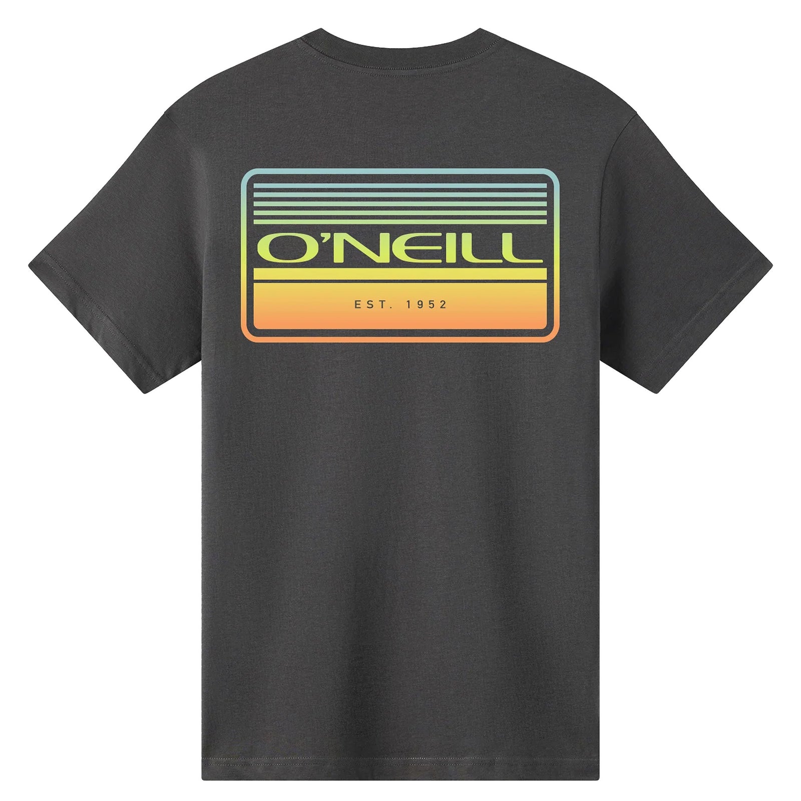 O'Neill Banner Classic Youth Boy's Men's S/S T-Shirt - Dark Slate
