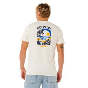 Rip Curl Matisse Desto Standard Men's S/S T-Shirt - Bone Haw
