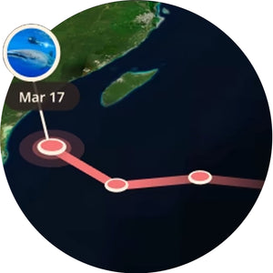 Fahlo The Quest Whale Tracking Bracelet - Deep Blue