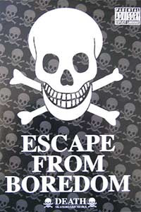 Escape From Boredom Skate DVD