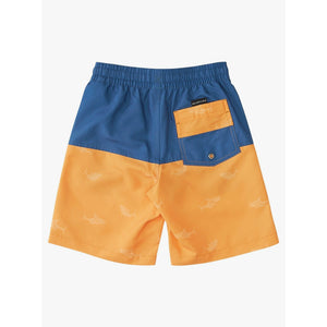 Quiksilver Magic Five 14" Volley Youth Boy's Boardshorts