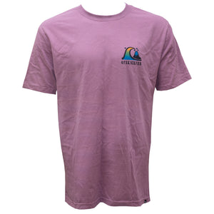 Quiksilver River Bend Men's S/S T-Shirt