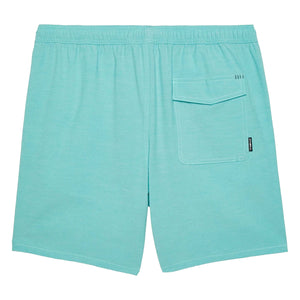 O'Neill Solid 17" Men's Volley Boardshorts