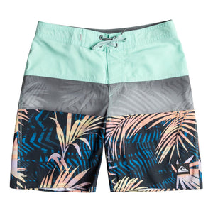 Quiksilver Everyday Panel Youth Boy's Boardshorts