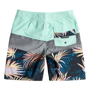Quiksilver Everyday Panel Youth Boy's Boardshorts