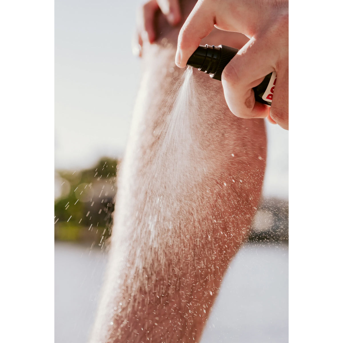 Bodyguard Bug Defense Spray